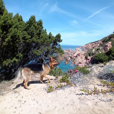 Villetta Monica Costa Paradiso Bagian luar foto
