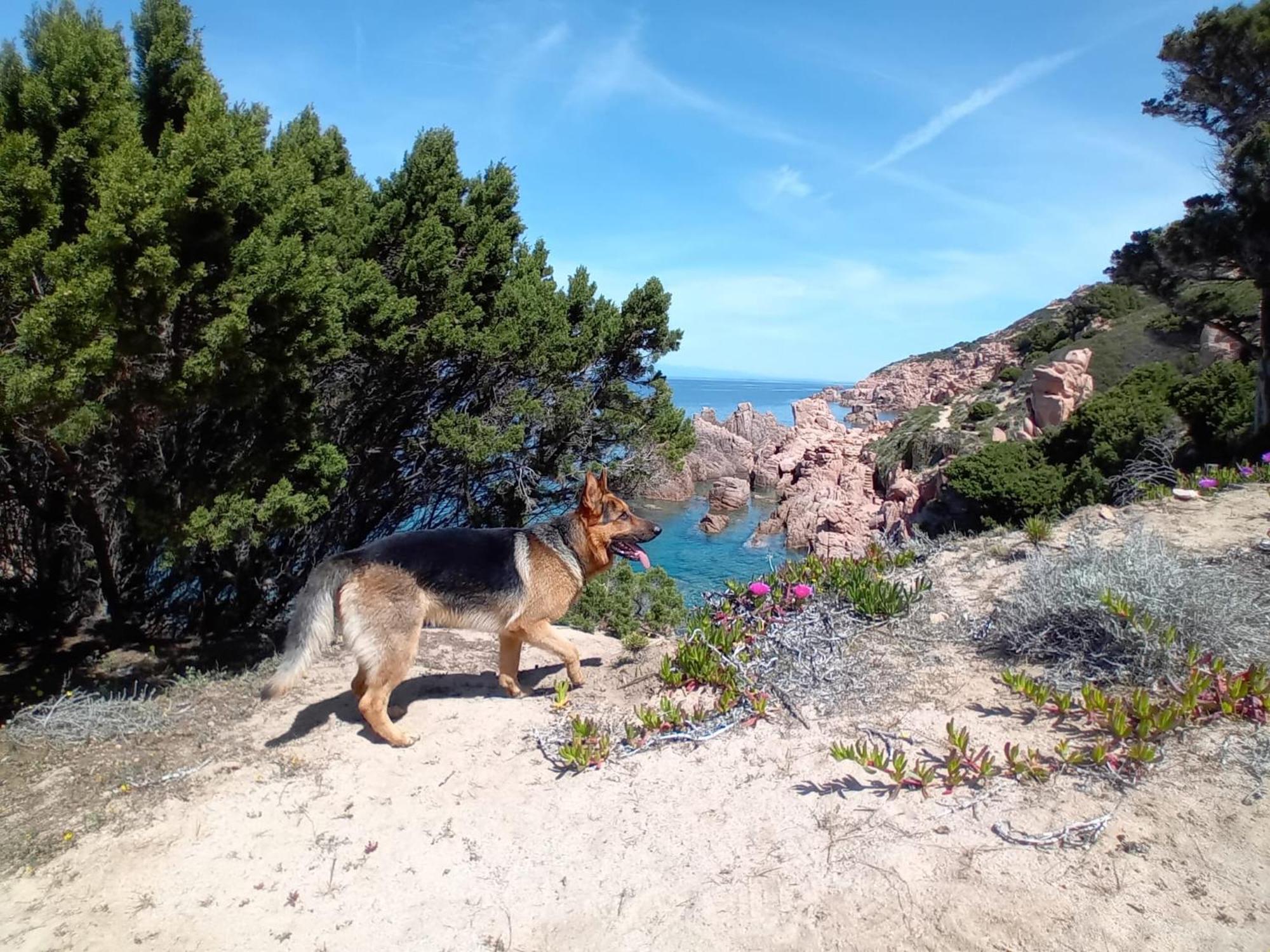 Villetta Monica Costa Paradiso Bagian luar foto