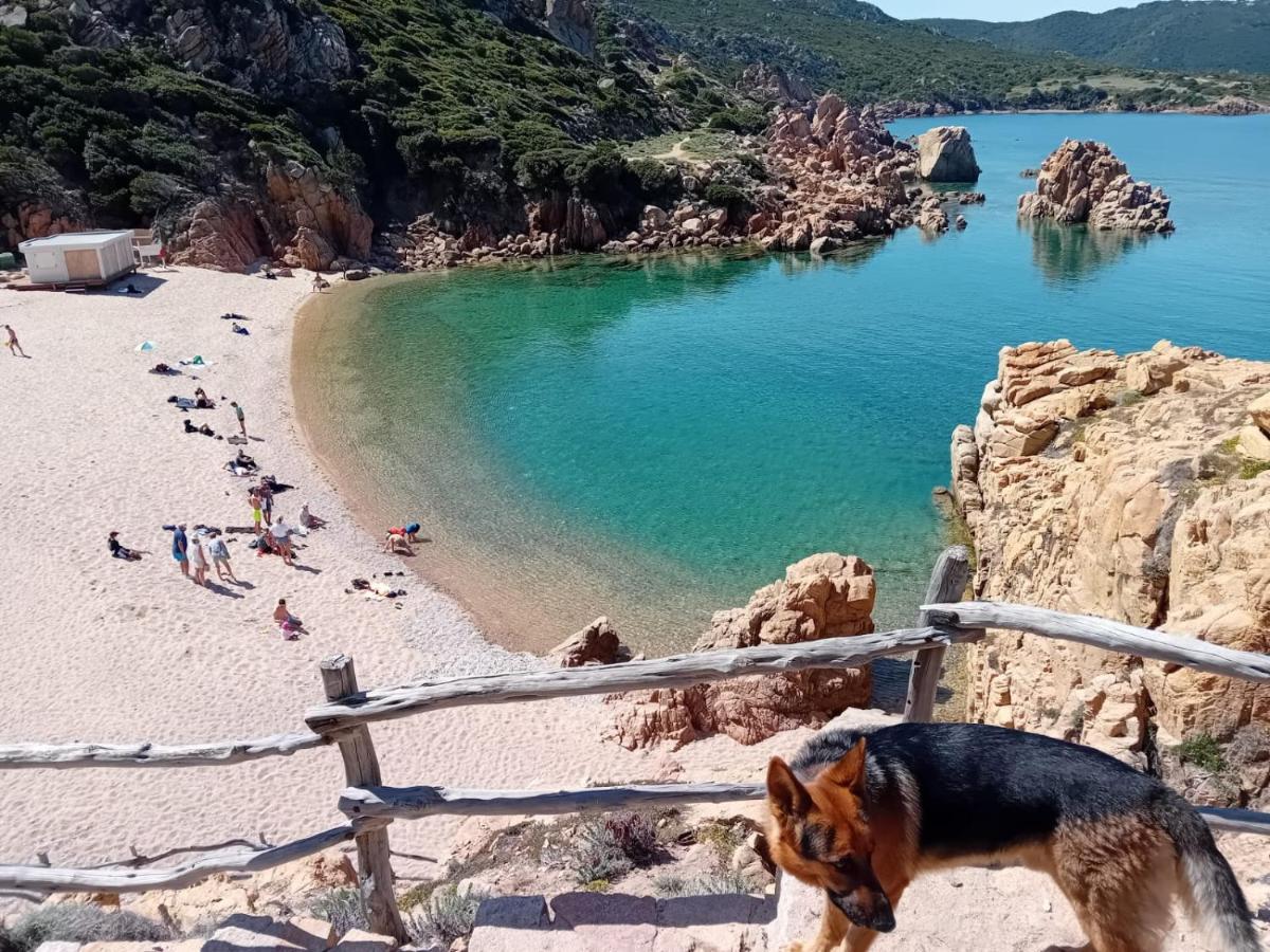 Villetta Monica Costa Paradiso Bagian luar foto