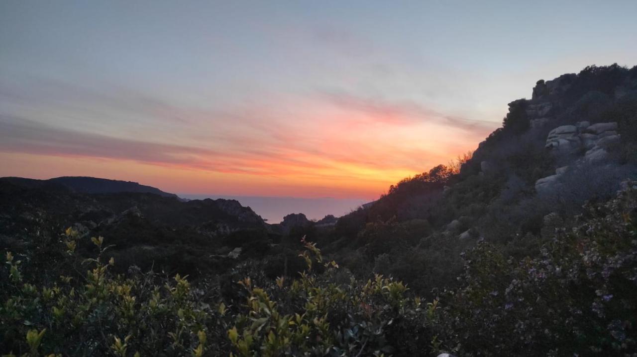 Villetta Monica Costa Paradiso Bagian luar foto