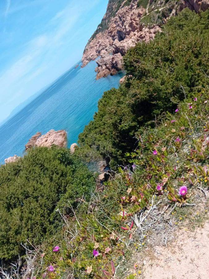 Villetta Monica Costa Paradiso Bagian luar foto